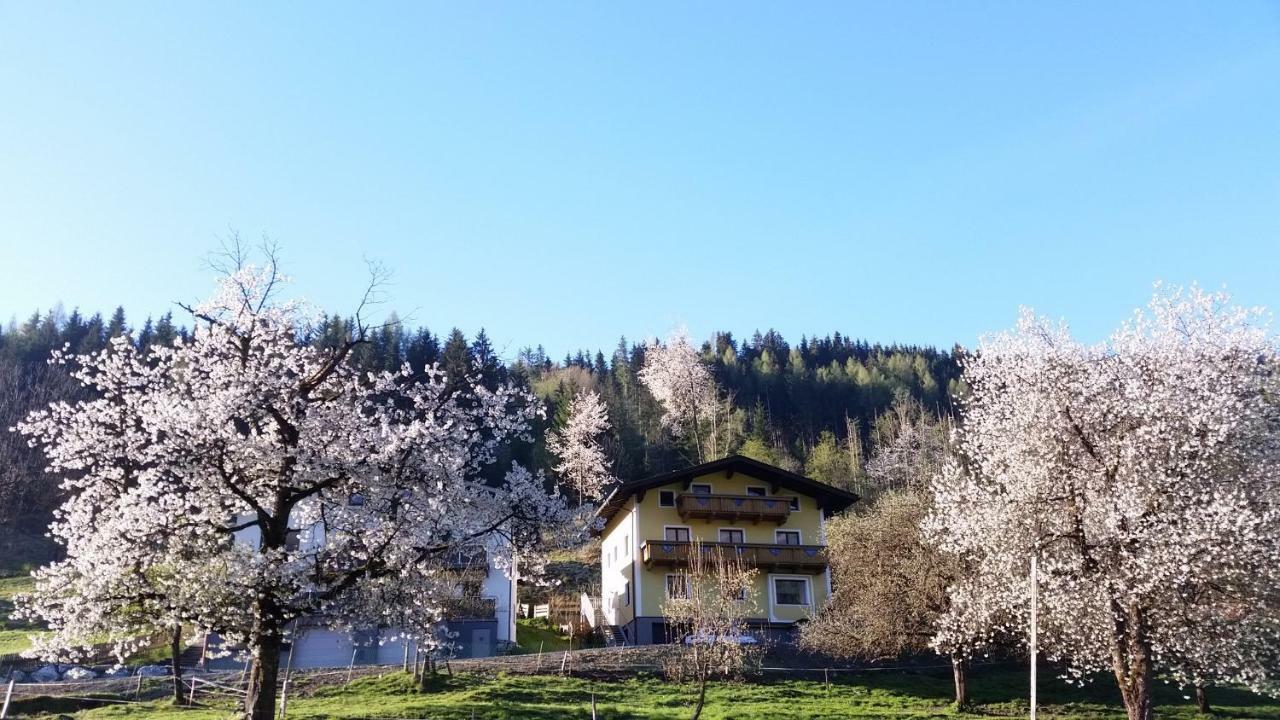 פוש אן דר גלוקנשטראסה Ferienhaus Karin מראה חיצוני תמונה